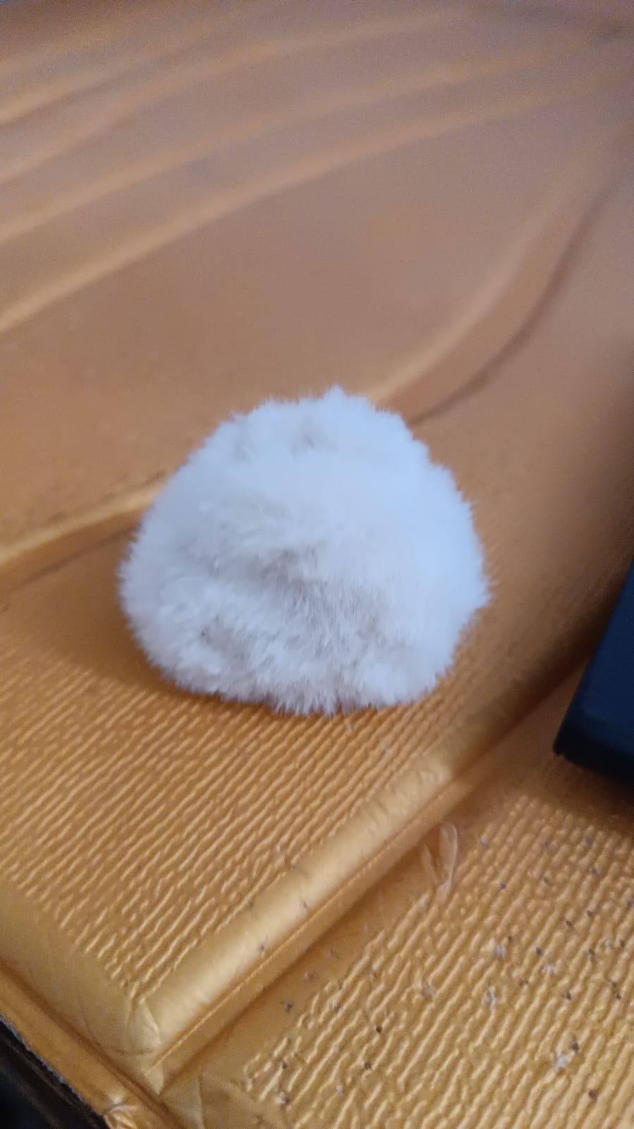 Hair Claw Clips Plastic Fluffy Hair Claw Hair (1 Pc)