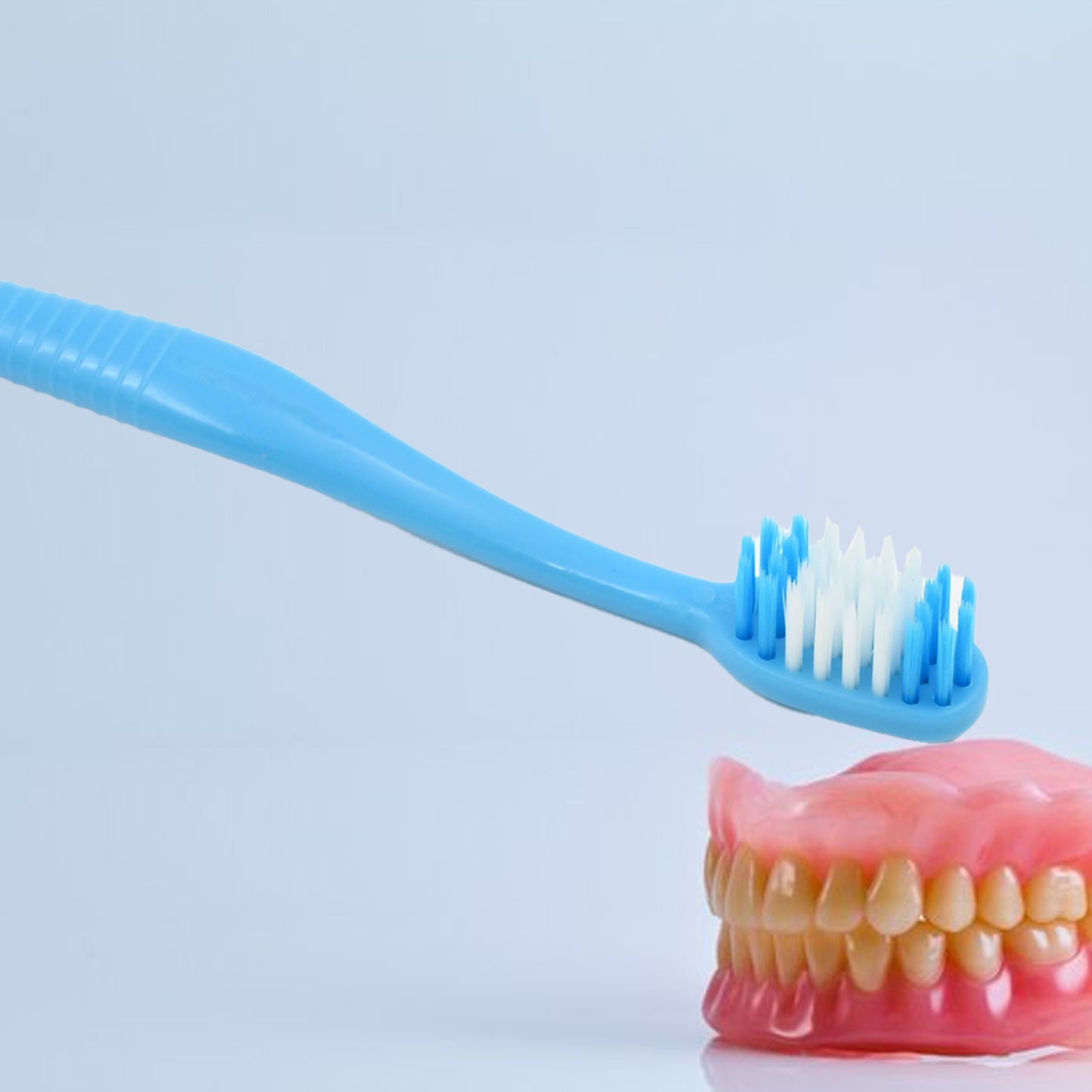 2 In 1 Soft Toothbrush And Tongue With Toothbrush Cover Cleaner Scraper For Men And Women Kids Adults Plastic Toothbrush Cover  Case  Holder (1 Pc)